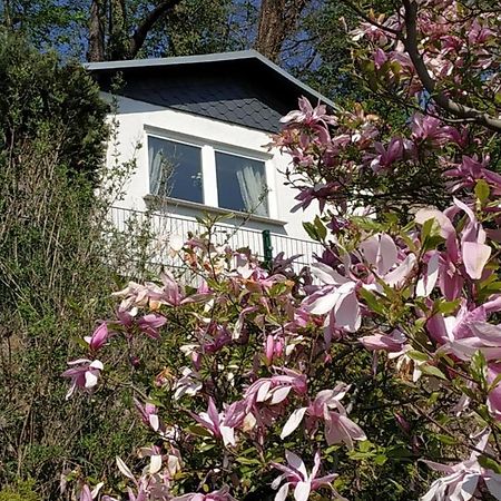 Das Ferienhaus Mit Aussicht Pirna Bagian luar foto