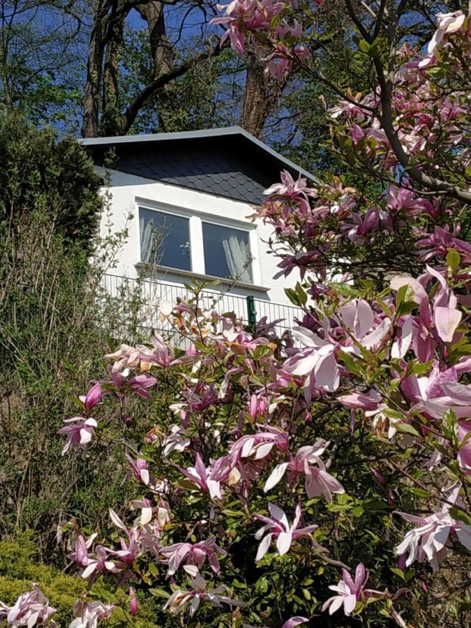 Das Ferienhaus Mit Aussicht Pirna Bagian luar foto