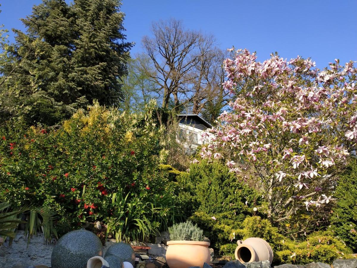 Das Ferienhaus Mit Aussicht Pirna Bagian luar foto